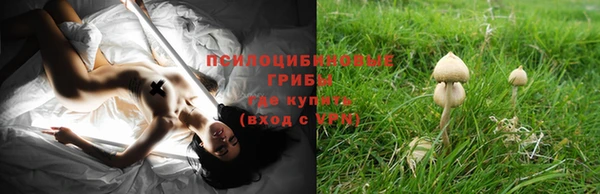 кокс Новокубанск